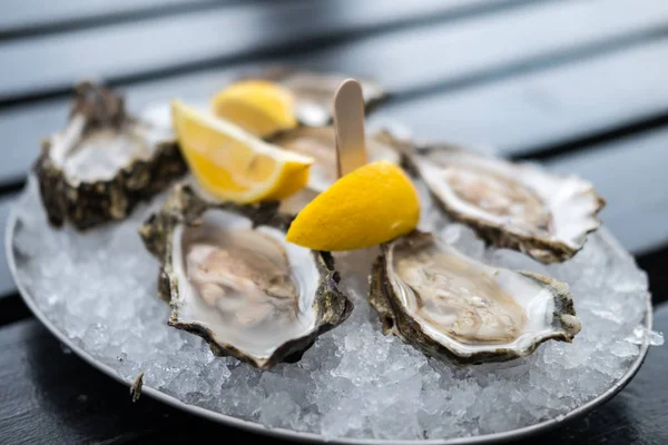 Oyster on Plate with Lemon.