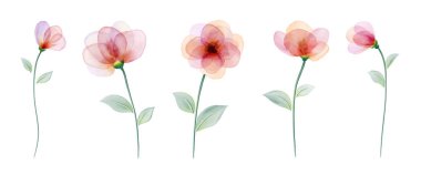 Renkli çiçekle boyanmış suluboya el resmini ayarla