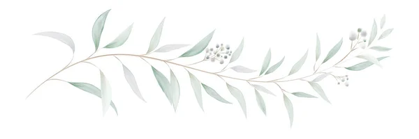 Akwarela Zielony Bukiet Eukaliptusa Liści Gałęzi Liść Zieleni Ręcznie Malowany — Wektor stockowy