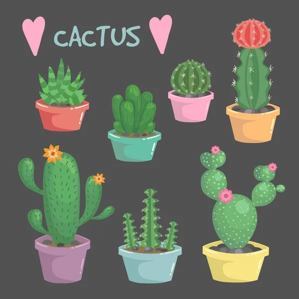 Set of vector cactus illustrations — Stock Vector