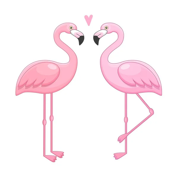 Vektör pembe flamingolar çizim.