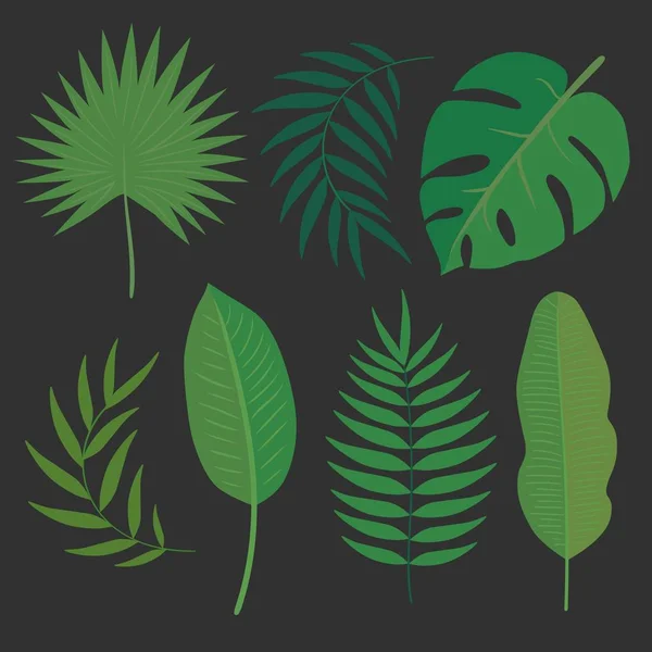 Векторный набор тропических листьев. — стоковый вектор