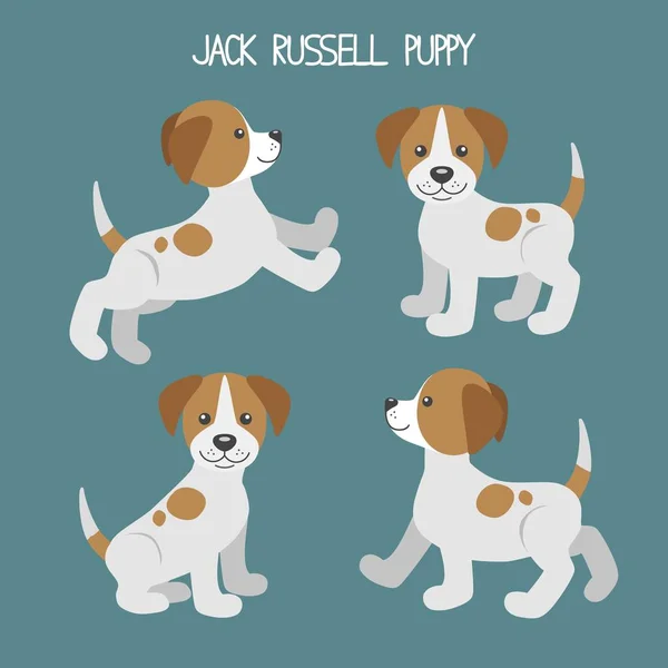 Vektör sevimli karikatür köpek yavrusu ile ayarlayın. Jack russell terrier