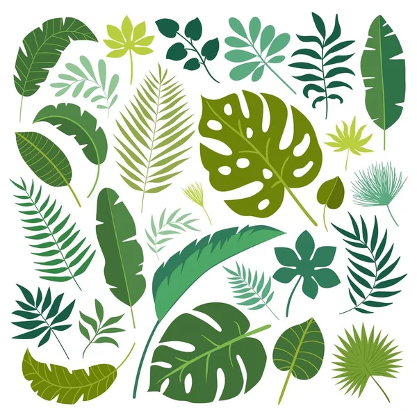 Trópusi levelek kórokozó-átvivő készlete. — Stock Vector