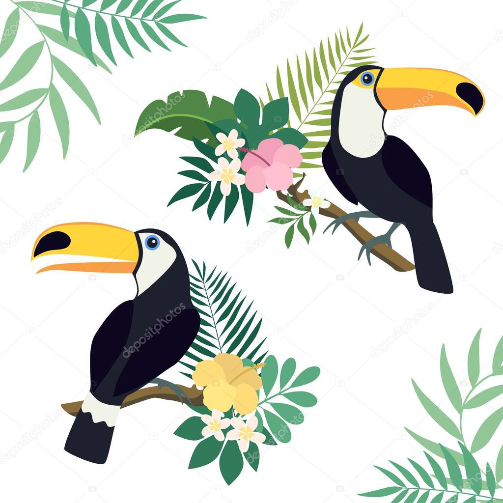 Vector set of toucan birds with palm leaves