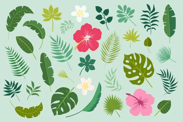 Tropik yaprakların vektör kümesi.