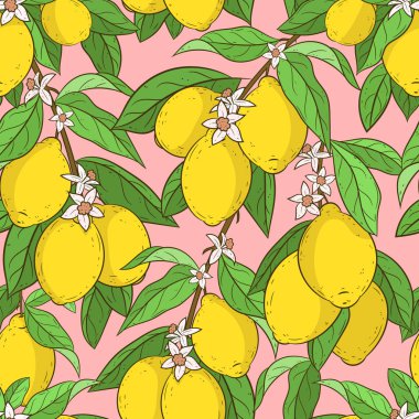 Limonlu pürüzsüz desen.