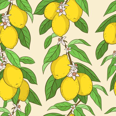 Limonlu pürüzsüz desen.