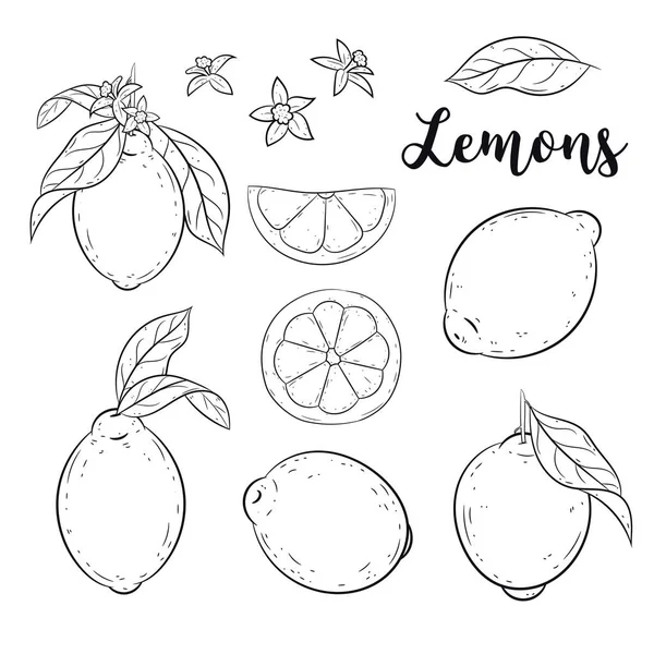 Limon ayarlayın. Kroki, doodle vektör çizimler.