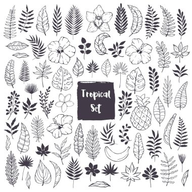 Hand drawn doodles and sketches of tropical leaves and flowers clipart