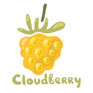 Üzerinde yazı olan turuncu dut yassı ikonu. Yapraklı Bekar Bulutdulu. Beyazda izole edilmiş ekolojik gıdaların renkli Simge vektör çizimi