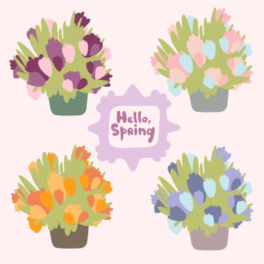 Soyut çiçekli mevsimlik karşılama kovası. Düz karalama stili. Küvette bahçe bitkileri. Burgundy, pembe, mor ve turuncu renk seçenekleri. 'Hello, Spring' yazılı klasik çerçeve.