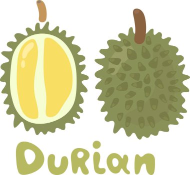 Durian ikonunun tamamı ve yarısı. Ayrı bir nesne. Durian logosu. Sağlıklı Asya vitamini. Vektör illüstrasyonu.
