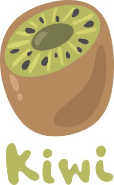 Taze kivi meyvesi, beyazın yarısı kadar izole edilmiş. Kivi renginde, kahverengi derili, yeşil renkli, içinde küçük siyah tohumlar ve açık renkli bir elementin vektör çizimi. İzole çizgi film taze kivi..