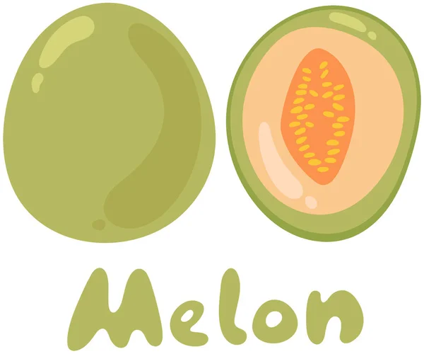 Melon Melonowy Ilustracja Wektora Owoców Płaska Ikona Kreskówki Izolowana Białym — Wektor stockowy