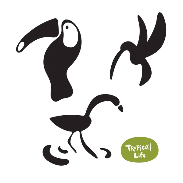 Vector set beautiful exotic birds of the Amazon rain forest. Toucan, hummingbird and flamingo doodle isolated silhouettes on white background — Stock Illustration Vector Set Beautiful Exotic Birds Amazon Rain Forest Toucan Hummingbird Vector Graphics