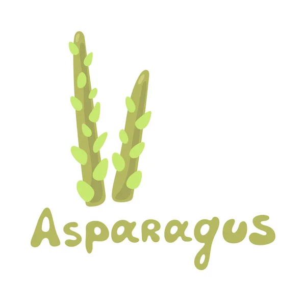 Tige Légumes Asperges Isolée Sur Blanc Alimentation Saine Concept Régime — Image vectorielle