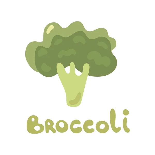 Söt Vektor Tecknad Broccoli Illustration Färska Grönsaker Isolerade Vit Bakgrund — Stock vektor