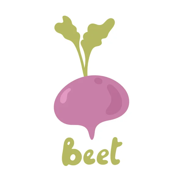 Beetroot 모양의 템플릿 디자인 보라색 아이콘 채식주의자 식품을 식물성 — 스톡 벡터
