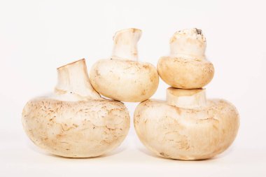 Şampiyonlar bir piramidin içinde serilirler. 4 taze mantar. Bütün mantarlar, yakın görüş. Taze mantarlar izole edilmiş. Yiyecek için gerekli malzemeler. Blog ve yemek kitabı için fikir. Stok fotoğrafı, yan görünüm