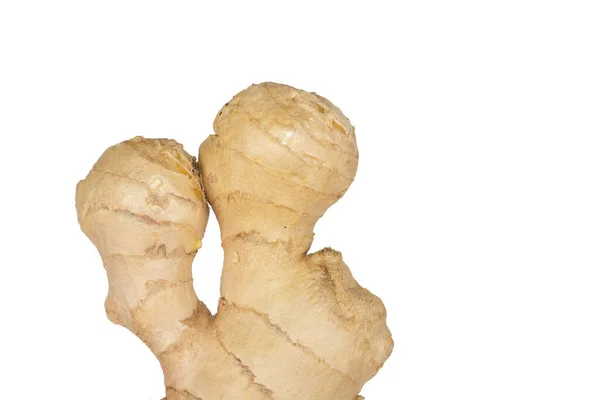 Jonge verse gember wortel op witte achtergrond. Kruidige gewassen wortel gebruikt bij de behandeling. Geïsoleerde gemberwortel wordt gebruikt om de immuniteit te verhogen, om gewicht te verliezen. Beschermt tegen verkoudheid en virussen. Lege ruimte — Stockfoto