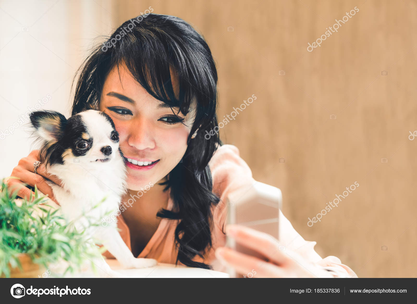  Beautiful Asian Woman Taking Selfie Cute Chihuahua Dog Home Copy ...