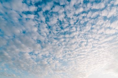 Pattern of cirrocumulus cloud on sunset blue sky clipart