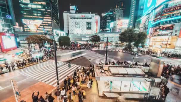 11月3 2019 渋谷スクランブル交差点のタイムラプス 混雑した人々 夜の車の交通輸送 東京観光名所 日本の観光 アジア交通機関やアジアの都市生活 — ストック動画