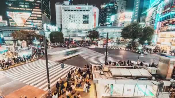 Tokio Japan Nov 2019 Zeitraffer Der Shibuya Kreuzung Überfüllte Menschen — Stockvideo