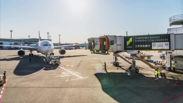 Tóquio Japão Nov 2019 Lapso Tempo Aterrissagem Ancoragem Avião Portão — Vídeo de Stock