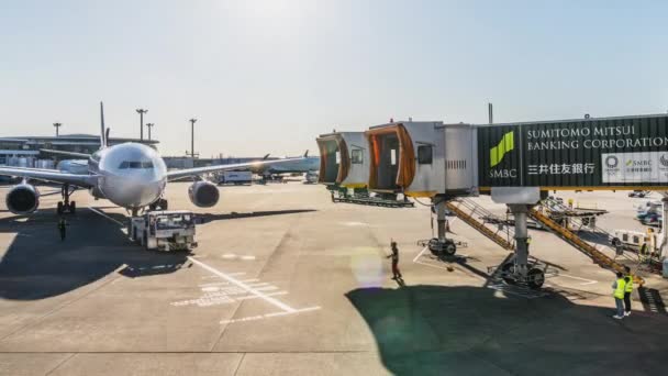 Τόκιο Ιαπωνία Νοεμβρίου 2019 Time Lapse Airplane Landing Docking Airport — Αρχείο Βίντεο