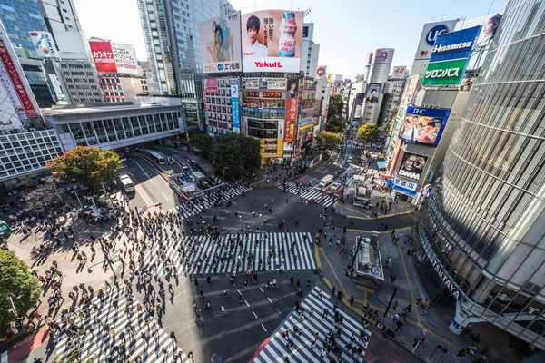 Tokio Japón Nov 2019 Gente Abarrotada Caminando Tráfico Autos Cruce —  Fotos de Stock