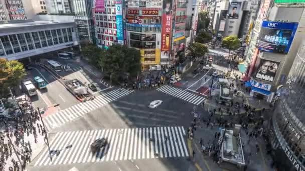 Tokyo Japonia Lis 2019 Time Lapse Shibuya Scramble Crossing Spacery — Wideo stockowe