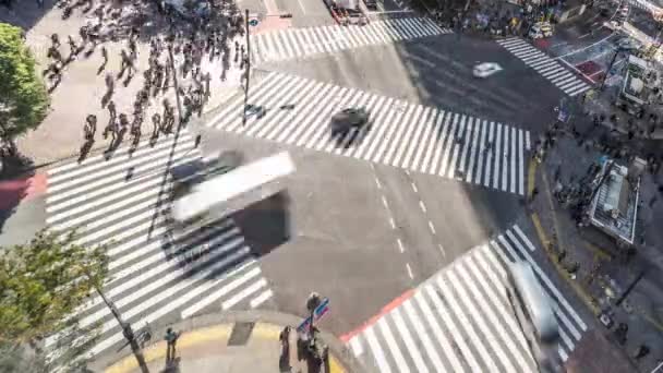 Tokio Japan November 2019 Zeitraffer Der Shibuya Kreuzung Überfüllte Fußgängerzonen — Stockvideo