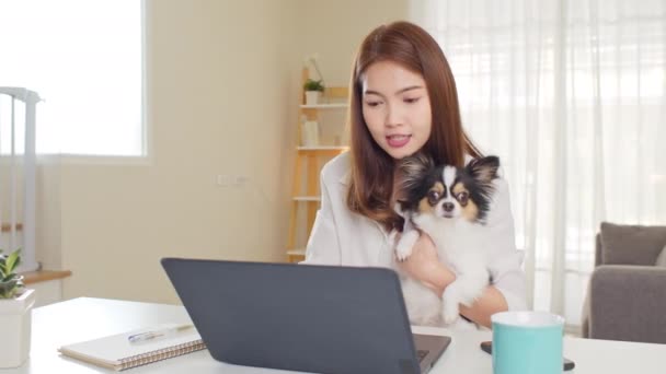 Mulher Asiática Usando Computador Portátil Trabalhar Casa Brincar Com Cão — Vídeo de Stock