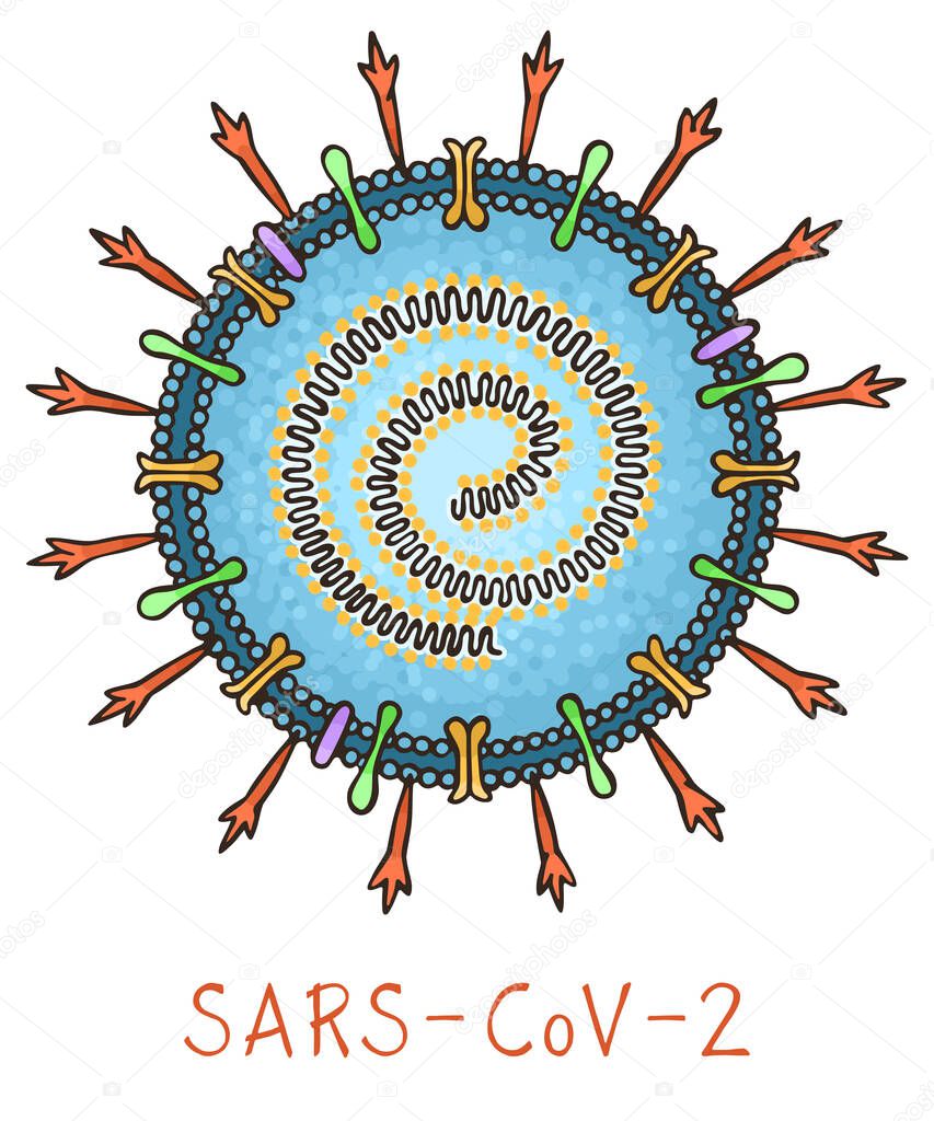 Coronavirus in hand drawn style. Color diagram showing the structure of virus. Vector illustration isolated on white background for medical info graphics
