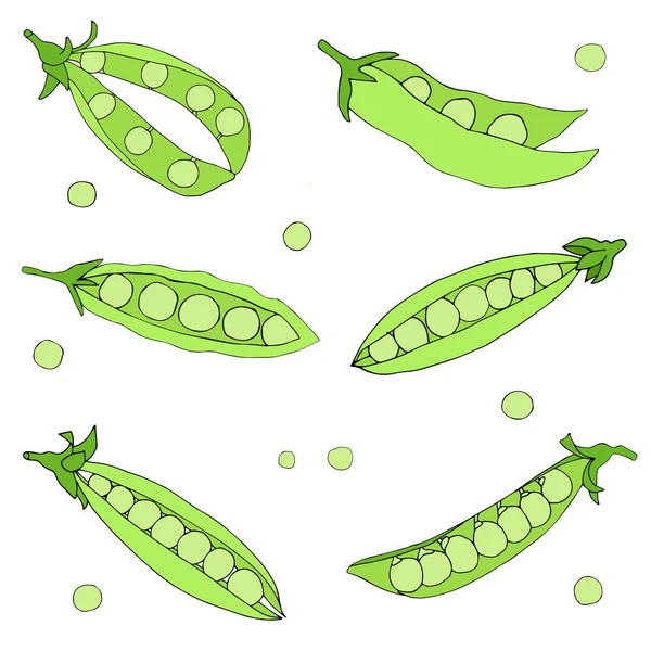 Pictures Advertising Healthy Lifestyle Set Pictures Pea Pods Vector Illustration — Stock vektor