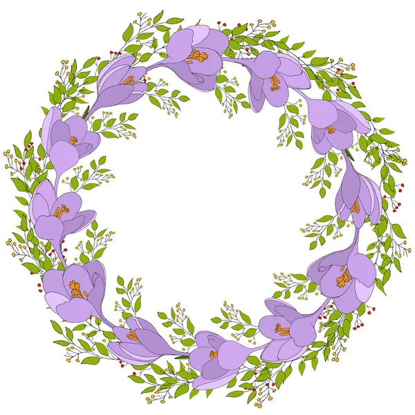 Beautiful Crocus Wreath Red Yellow Berries Garland Flowers Crocus Vector — Stock Vector