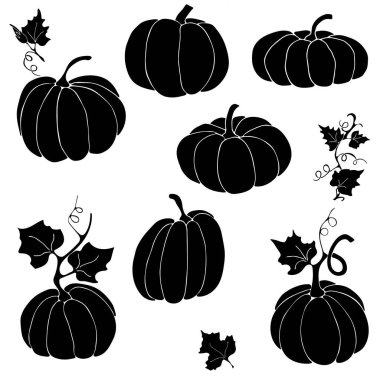 Balkabağı, sonbahar tatili için bir ortam yaratmaya yardımcı olacak. Vektör el çizimi Görüntü EPS10