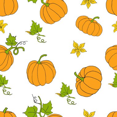 Sonbahar tatilinde hediye kartları için balkabaklarıyla kusursuz desen. Vektör el çizimi Görüntü EPS10