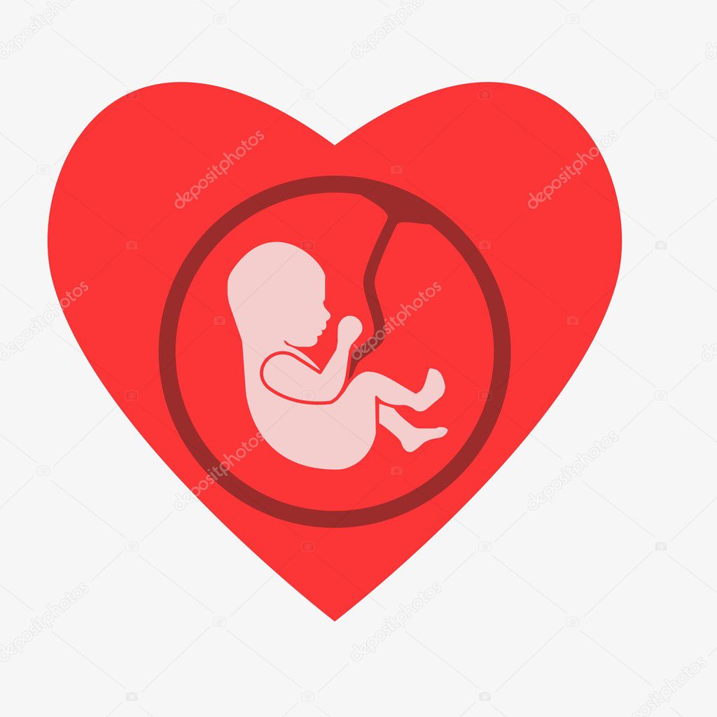 Embryo phase of born