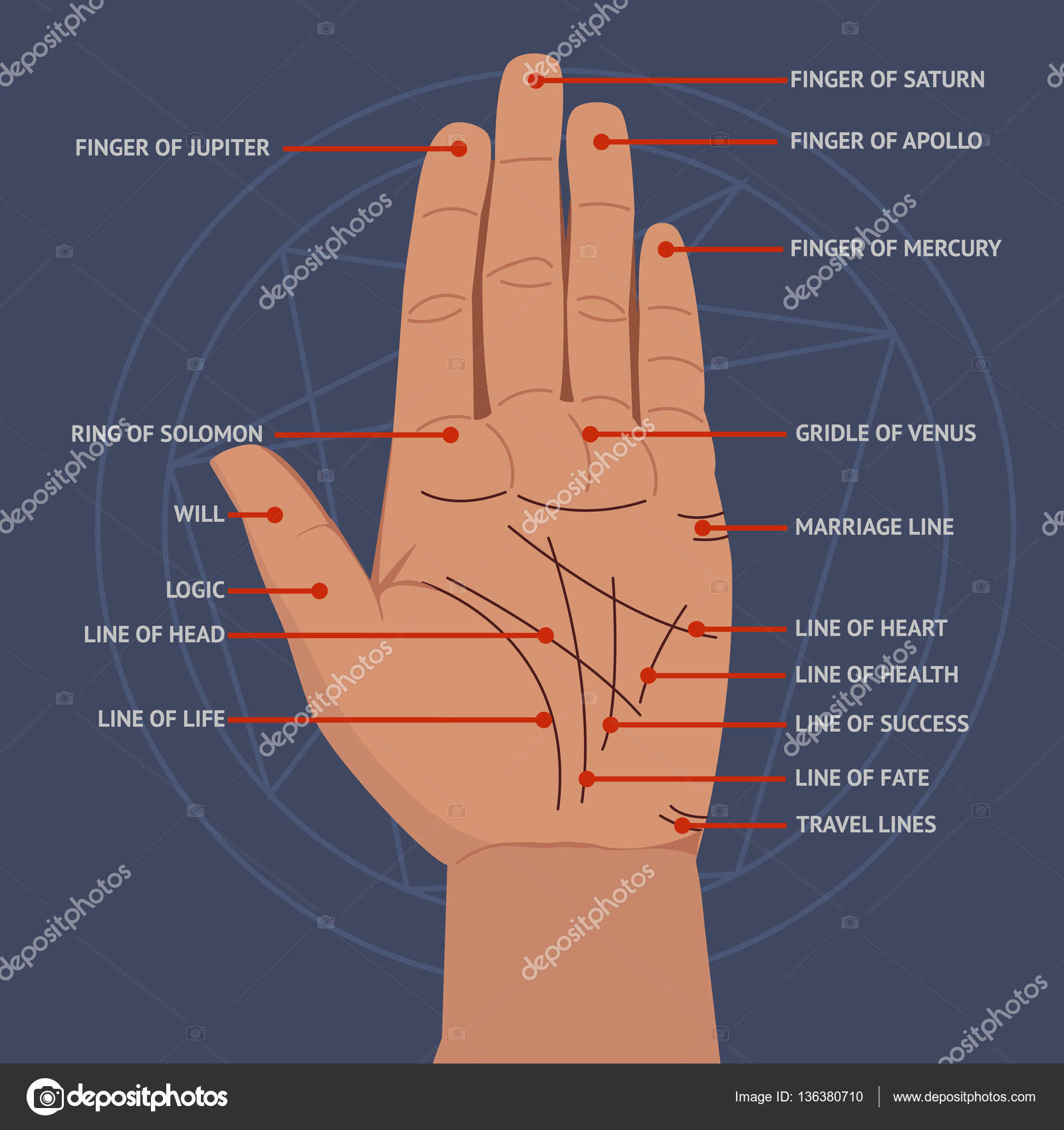 Линии на руке. Значение линий на пальцах. Линия жизни на ладони. Как научиться гадать на руке. Хиромантия картинки.