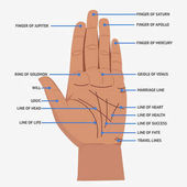 Palmistry. Open hand lines and symbols mystical reading vector illustration