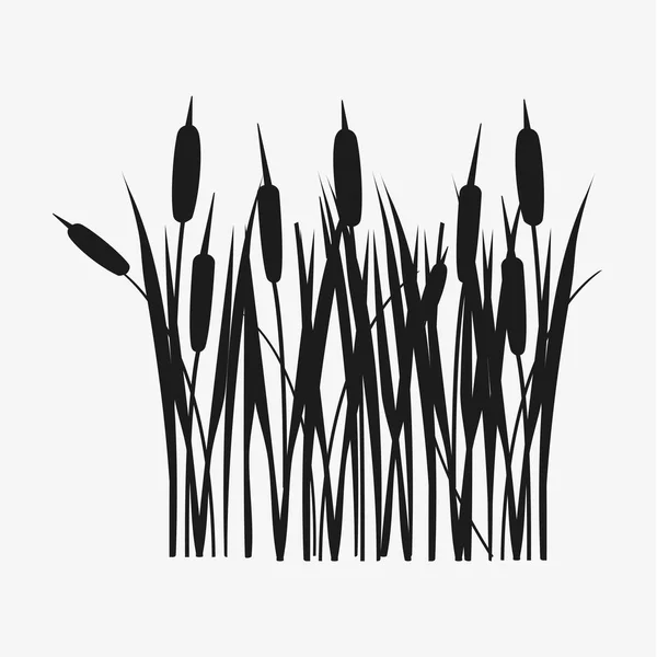 Reed grass black silhouette — Stock Vector