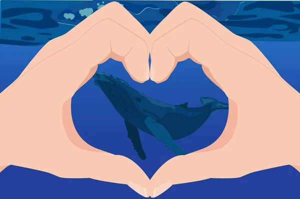 シロナガスクジラの図 — ストックベクタ