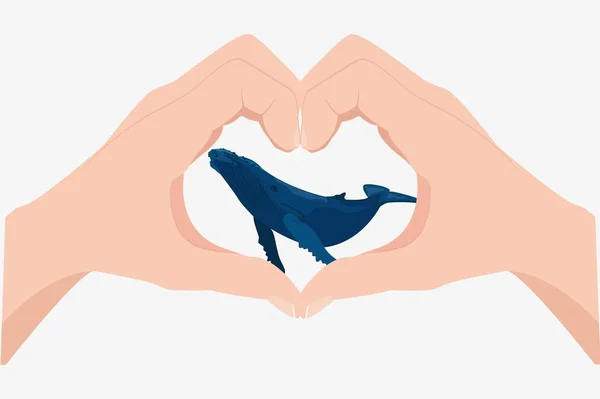 Mavi balina illüstrasyon — Stok Vektör