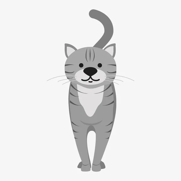 Katzenvektorillustration — Stockvektor