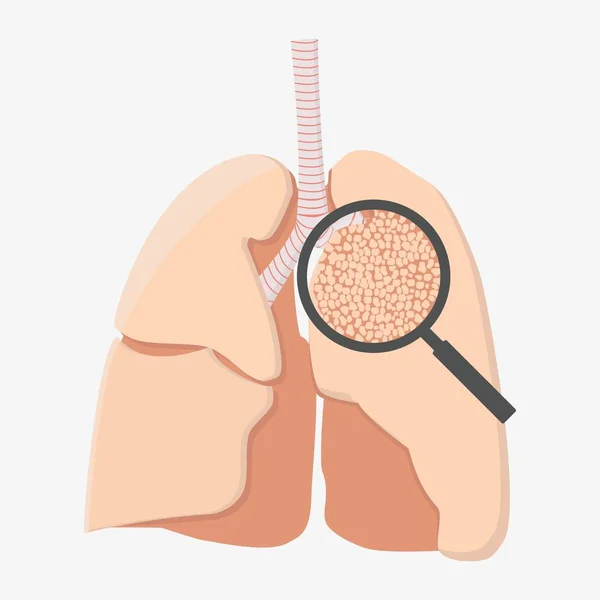 Icono de inspección pulmonar — Archivo Imágenes Vectoriales