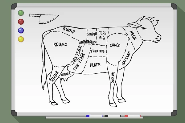 Cortes de carne de res . — Archivo Imágenes Vectoriales