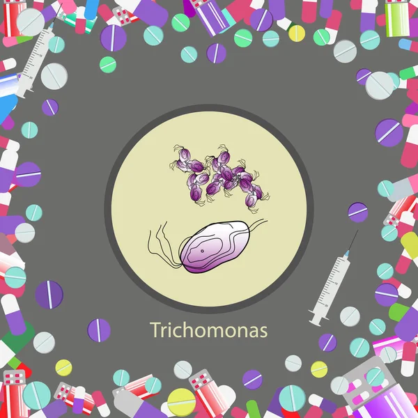 Trichomonas hominis- parasitic microscope — Stock Vector